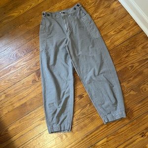 Everlane Fatigue Barrel Pants